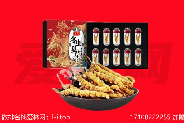 咸阳市淳化回收虫草.jpg